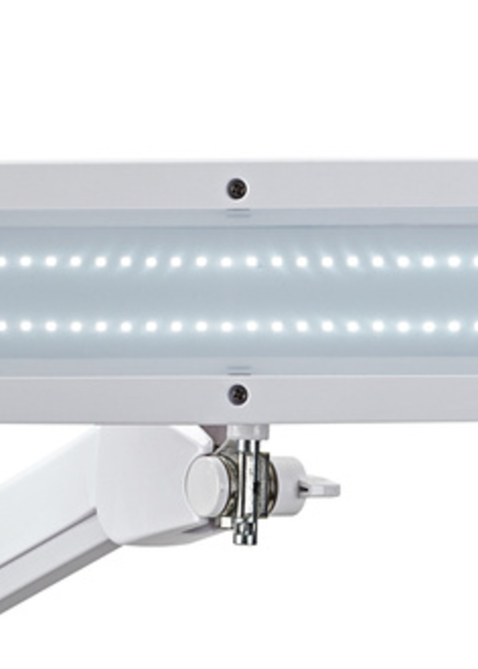 MAUL Lampe poste de travail MAULintro LED avec pince dimmable