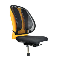 Support dorsal Fellowes Office Suites maille