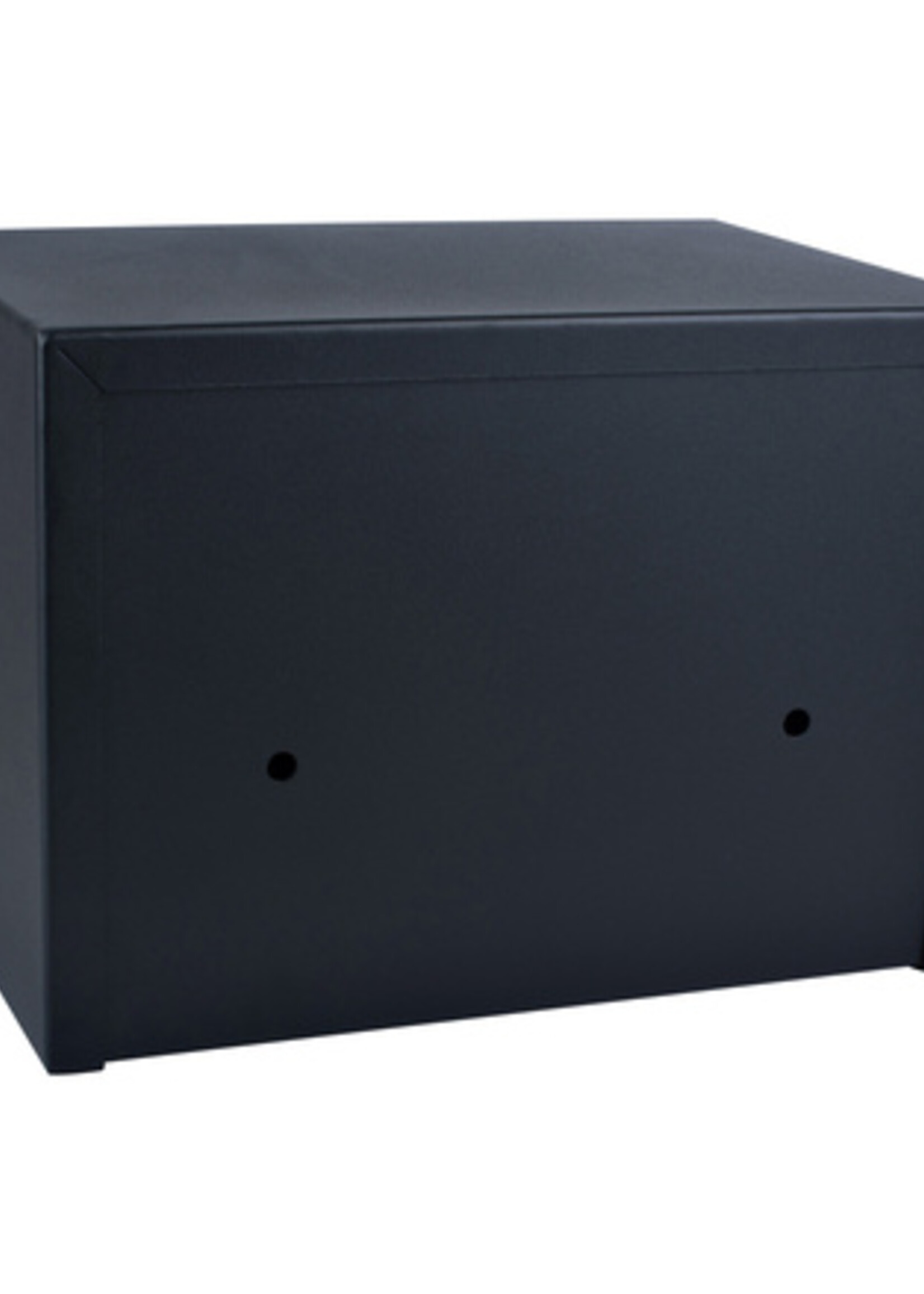 Pavo Kluis Pavo fingerprint elektronisch 350x250x250mm zwart