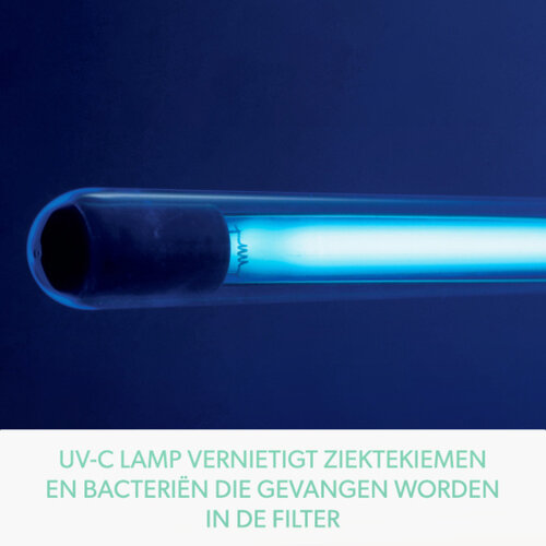 Leitz Lampe UV-C pour purificateur d'air Leitz TruSens Z-3000