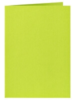 Papicolor Correspondentiekaart Papicolor dubbel 105x148mm appelgroen