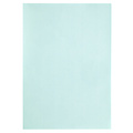 Papicolor Kopieerpapier Papicolor A4 100gr 12vel zeegroen