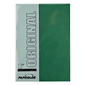 Papicolor Kopieerpapier Papicolor A4 100gr 12vel dennengroen