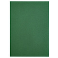 Papicolor Papier copieur Papicolor A4 12 feuilles vert sapin