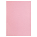 Papicolor Kopieerpapier Papicolor A4 100gr 12vel babyroze