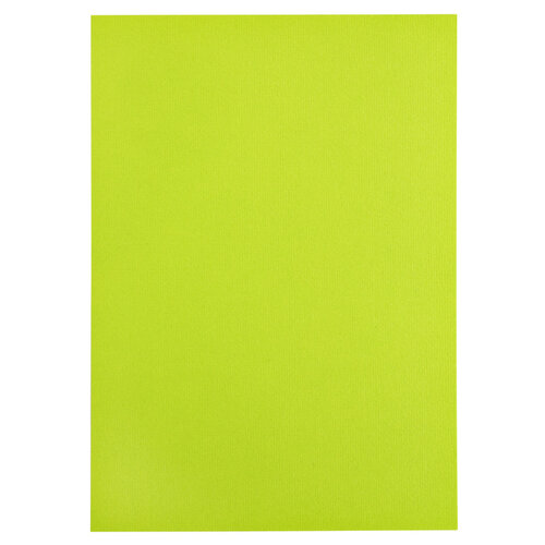 Papicolor Kopieerpapier Papicolor A4 100gr 12vel appelgroen