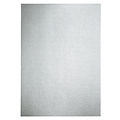 Papicolor Kopieerpapier Papicolor A4 120gr 6vel metallic zilver