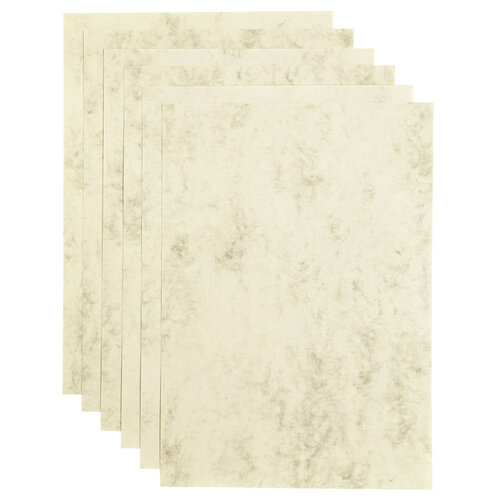 Papicolor Kopieerpapier Papicolor A4 90gr 12vel marble ivoor