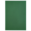 Papicolor Papier copieur Papicolor A4 6 feuilles vert sapin