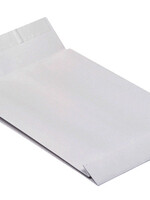 Quantore Envelop Quantore monsterzak 229x324x38mm zelfkl. wit 10stuks
