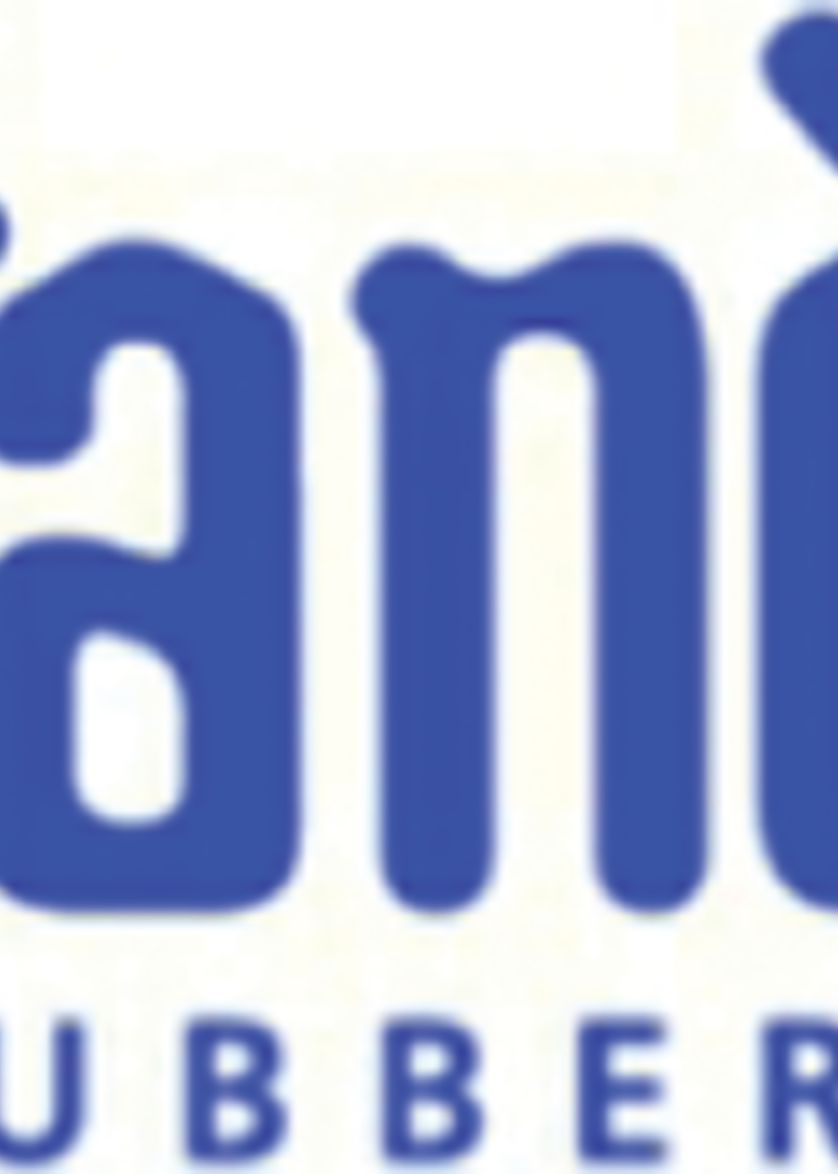 Standard Rubber Bands Elastiek Standard Rubber Bands 64 90x5mm 500gr 440 stuks bruin