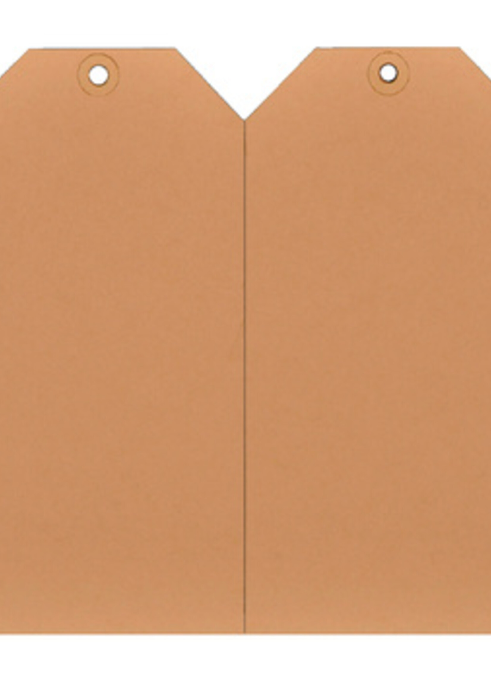 HF2 Label HF2 nr0 200gr 25x50mm chamois 1000stuks