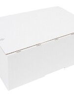 Iezzy Postpakketbox IEZZY 4 305x215x110mm wit