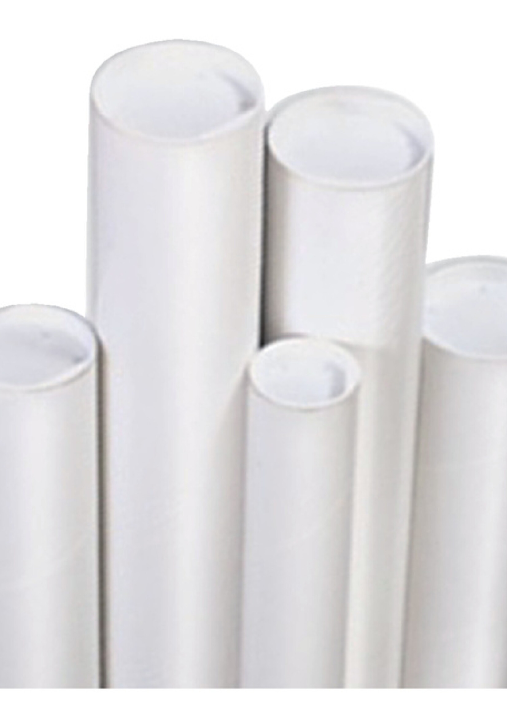 Cleverpack Tube d’expédition CleverPack A1+bouchons 650x50x1.5mm blanc 5pcs
