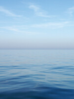 Fellowes Muismat Fellowes natuur collectie blauwe oceaan