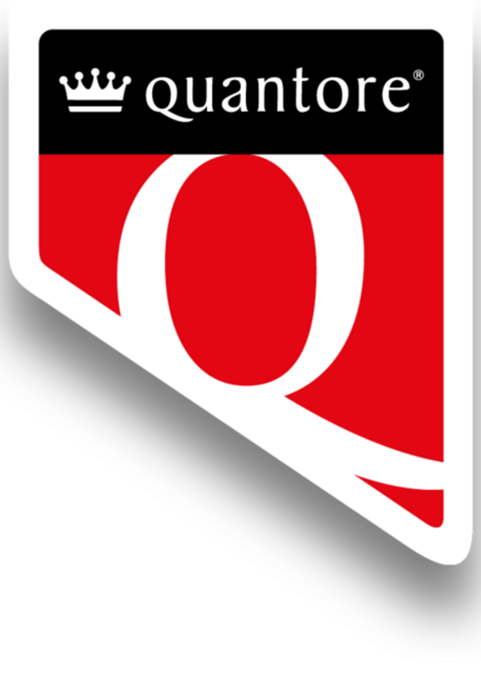 Quantore Inktcartridge Quantore  alternatief tbv HP C8773EE 363 geel