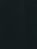 GBC Couverture GBC A4 Polycover 300 microns noir 100 pièces