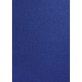 GBC Couverture GBC A4 similicuir bleu roi 100 pièces