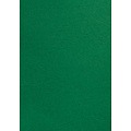GBC Couverture GBC A4 similicuir groen 100 pièces