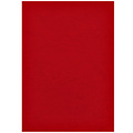 Fellowes Voorblad Fellowes A4 lederlook rood 100stuks