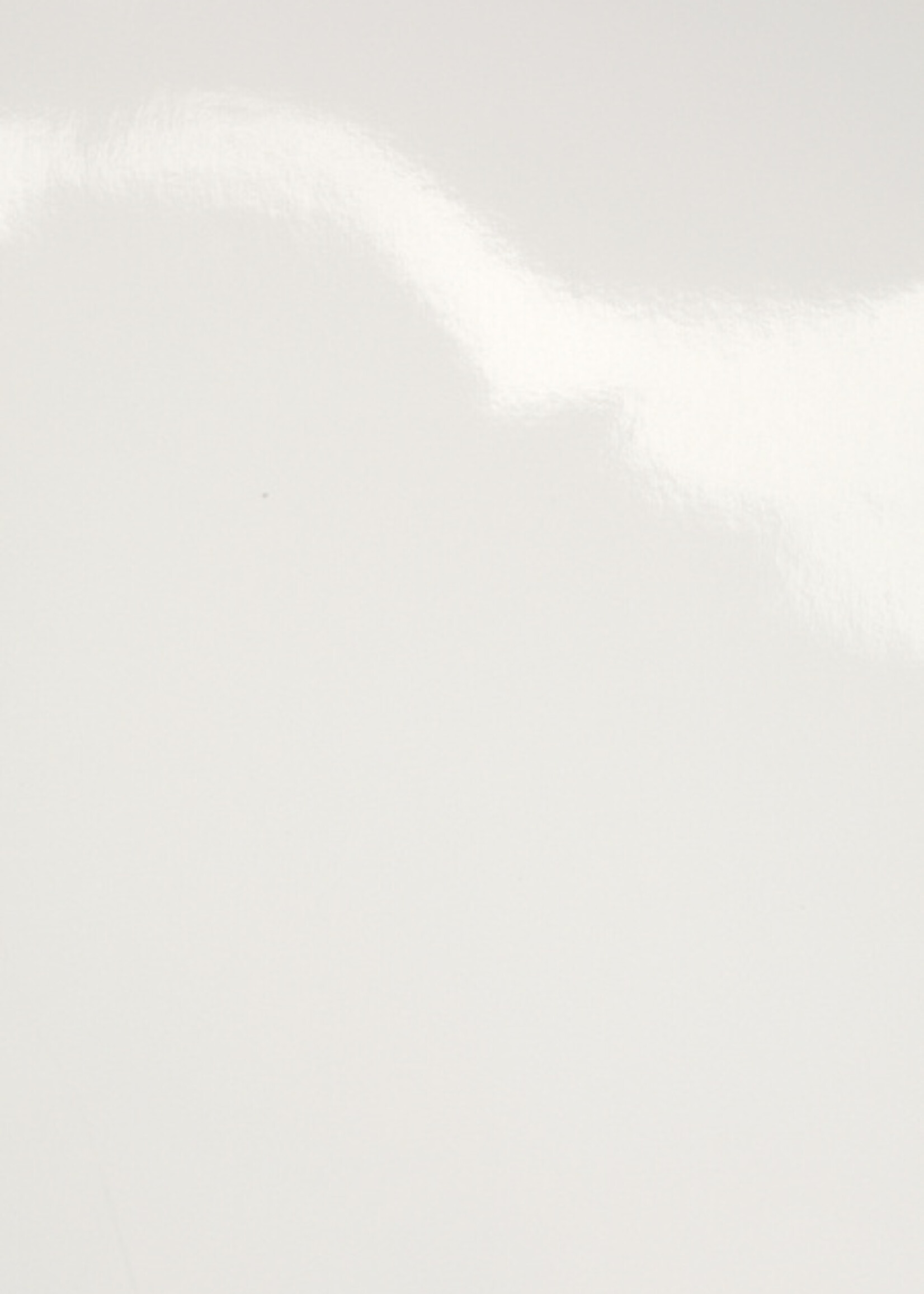 Fellowes Voorblad Fellowes A4 PVC 180micron 100stuks