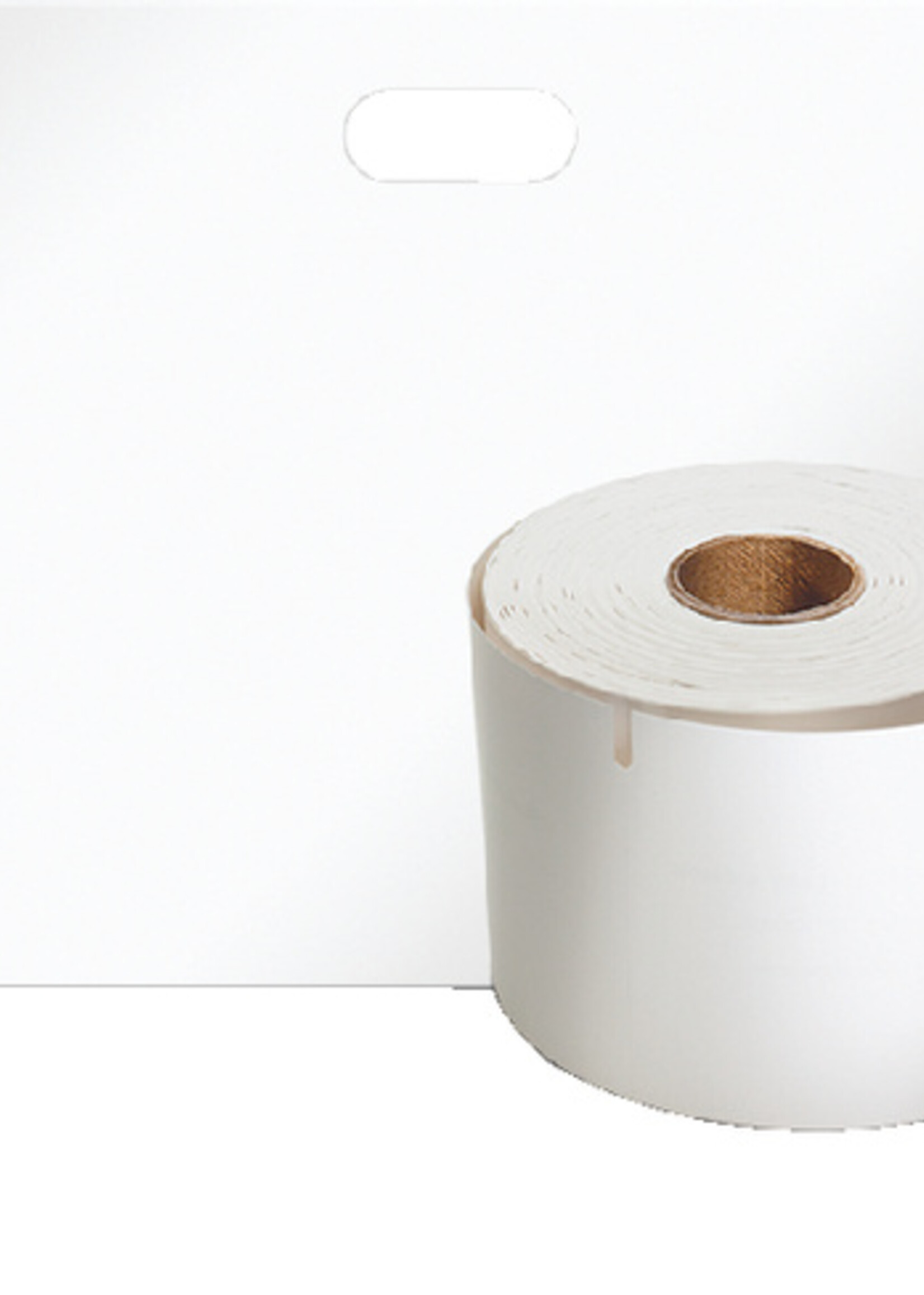 Dymo Etiquettes Dymo LabelWriter 11356 41x89mm badge 300pcs