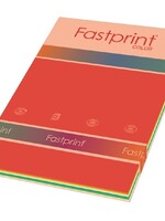 Fastprint Kopieerpapier Fastprint A4 80gr 10kleuren x25vel 250vel