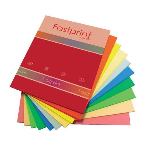 Fastprint Kopieerpapier Fastprint A4 80gr 10kleuren x25vel 250vel