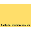 Fastprint Kopieerpapier Fastprint A4 80gr donkerchamois 500vel