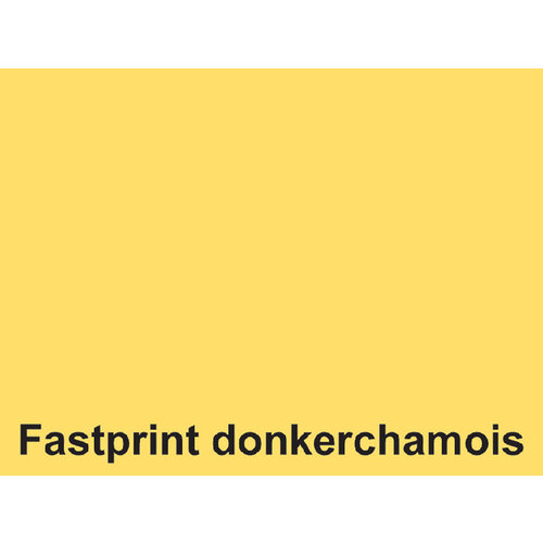 Fastprint Kopieerpapier Fastprint A4 80gr donkerchamois 500vel