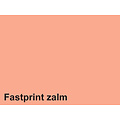 Fastprint Kopieerpapier Fastprint A4 80gr zalm 500vel