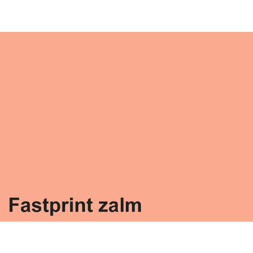 Fastprint Kopieerpapier Fastprint A4 80gr zalm 500vel