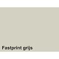 Fastprint Papier copieur Fastprint A4 120g gris 100 feuilles