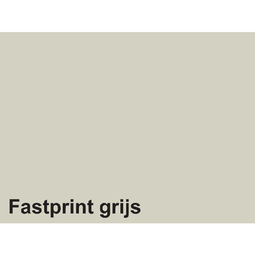 Fastprint Kopieerpapier Fastprint A4 120gr grijs 100vel