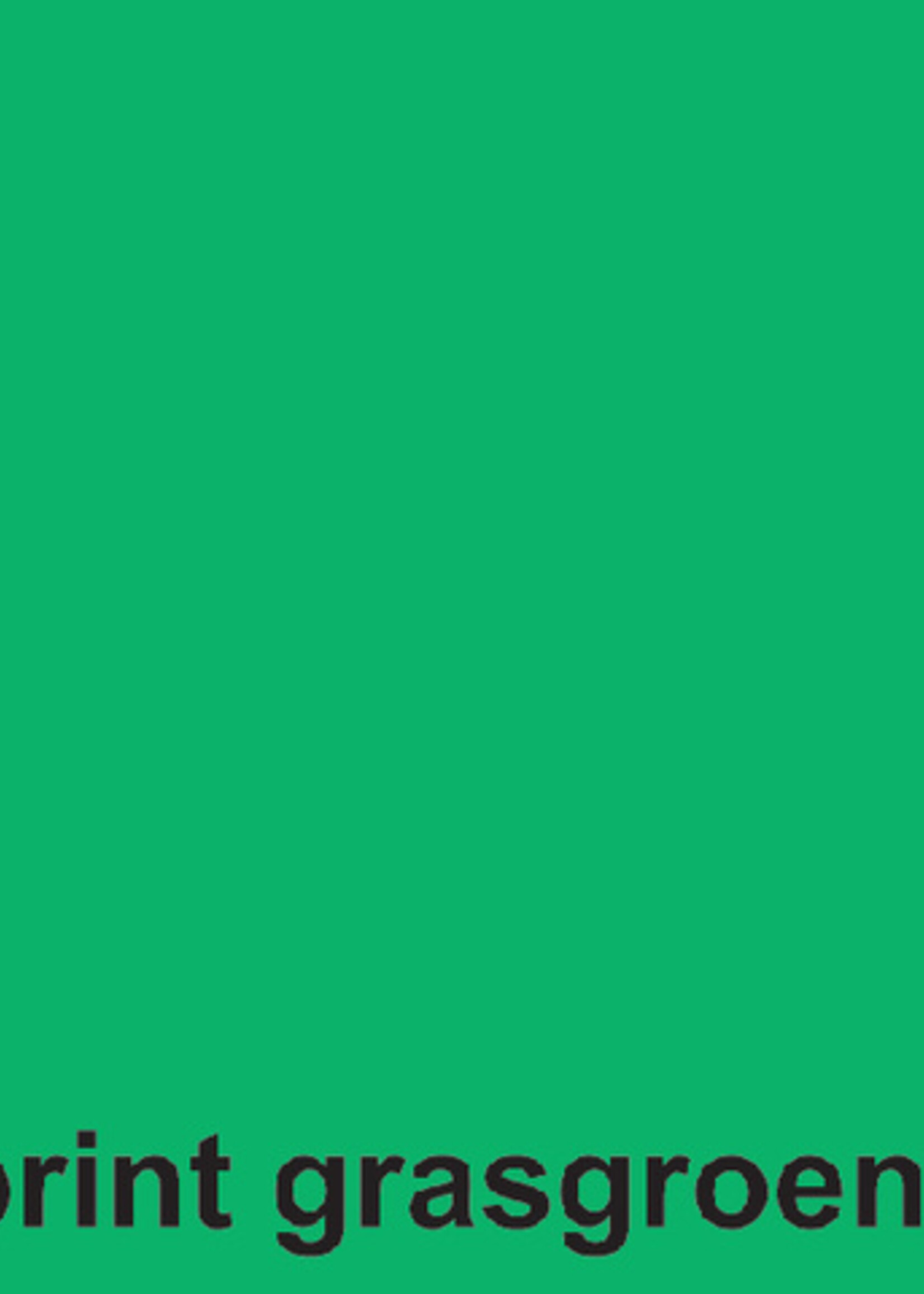 Fastprint Kopieerpapier Fastprint A4 120gr grasgroen 100vel