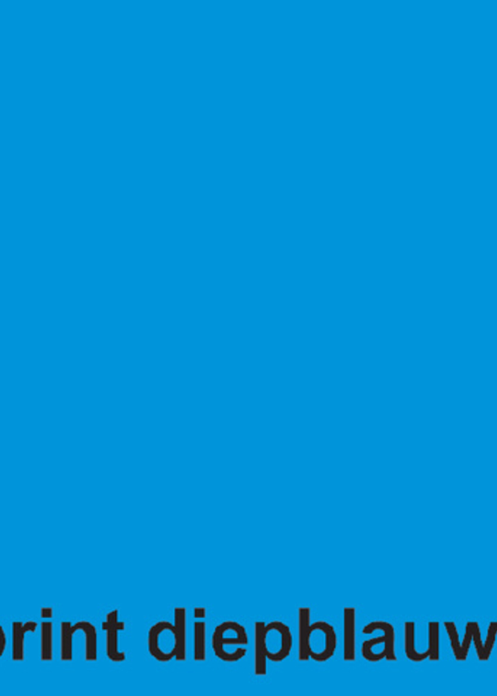 Fastprint Papier copieur Fastprint A4 120g bleu intense 100 feuilles