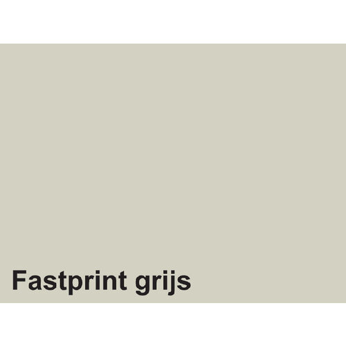 Fastprint Papier copieur Fastprint A4 120g gris 250 feuilles