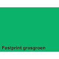 Fastprint Kopieerpapier Fastprint A4 160gr grasgroen 50vel