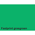 Fastprint Papier copieur Fastprint A4 160g vert gazon 50 feuilles