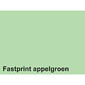 Fastprint Kopieerpapier Fastprint A4 160gr appelgroen 250vel