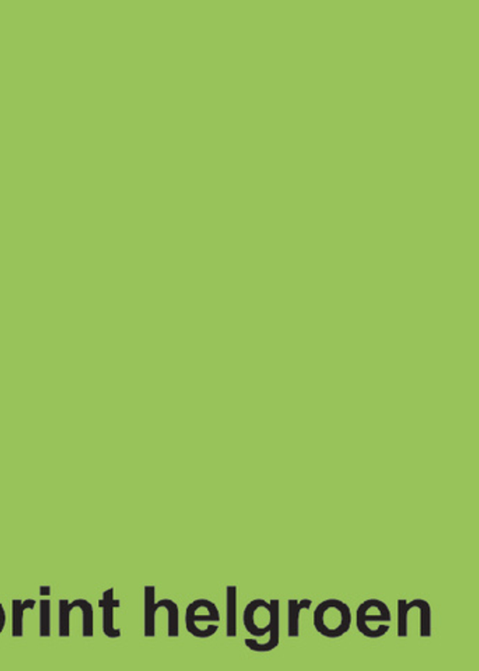 Fastprint Kopieerpapier Fastprint A4 160gr helgroen 250vel
