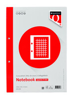 Quantore Cursusblok Quantore A4 80gram ruit 5mm met kantlijn+