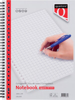 Quantore Collegeblok Quantore A4 23-gaats ruit 10mm 100vel