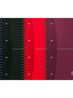 Oxford Notitieboek Oxford Essentials European book A4+ 120vel assorti