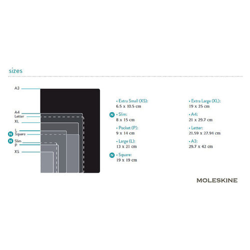 Moleskine Carnet de notes Moleskine Large 130x210mm ligné couverture rigide noir