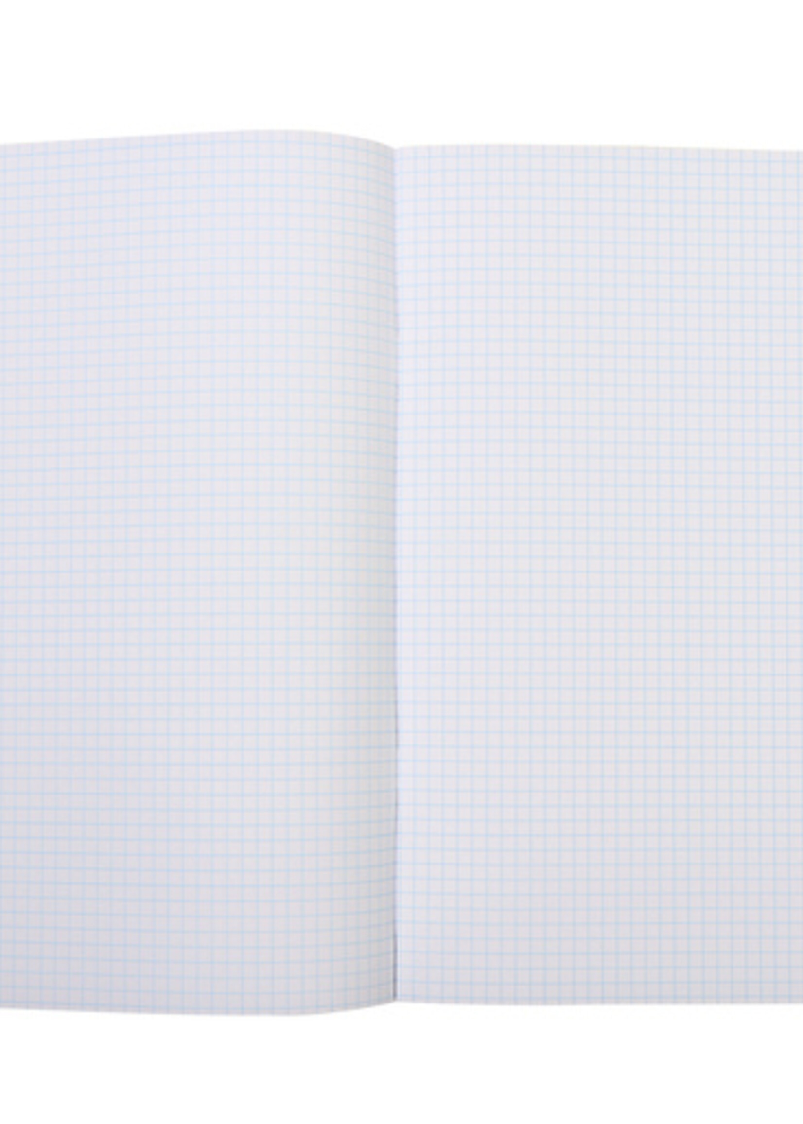 Qbasic Schrift Qbasic A4 ruit 5mm 80blz assorti