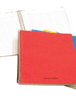 Aurora Schrift Aurora 210x165mm lijn 120blz spiraal assorti