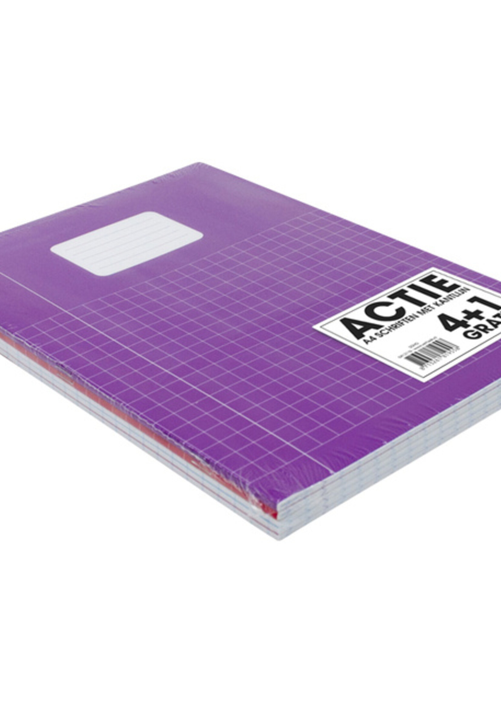 Verhaak Schrift Verhaak Trend A4 ruit 10x10mm 80blz 60gr assorti