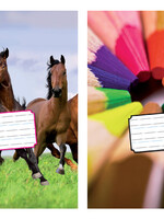 Kangaro Schrift Kangaro 165x210mm schoonschrijven 80gr 72blz