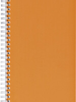 Office Livre d'inventaire 135x330mm ligné 160 pages 70g spirale orange
